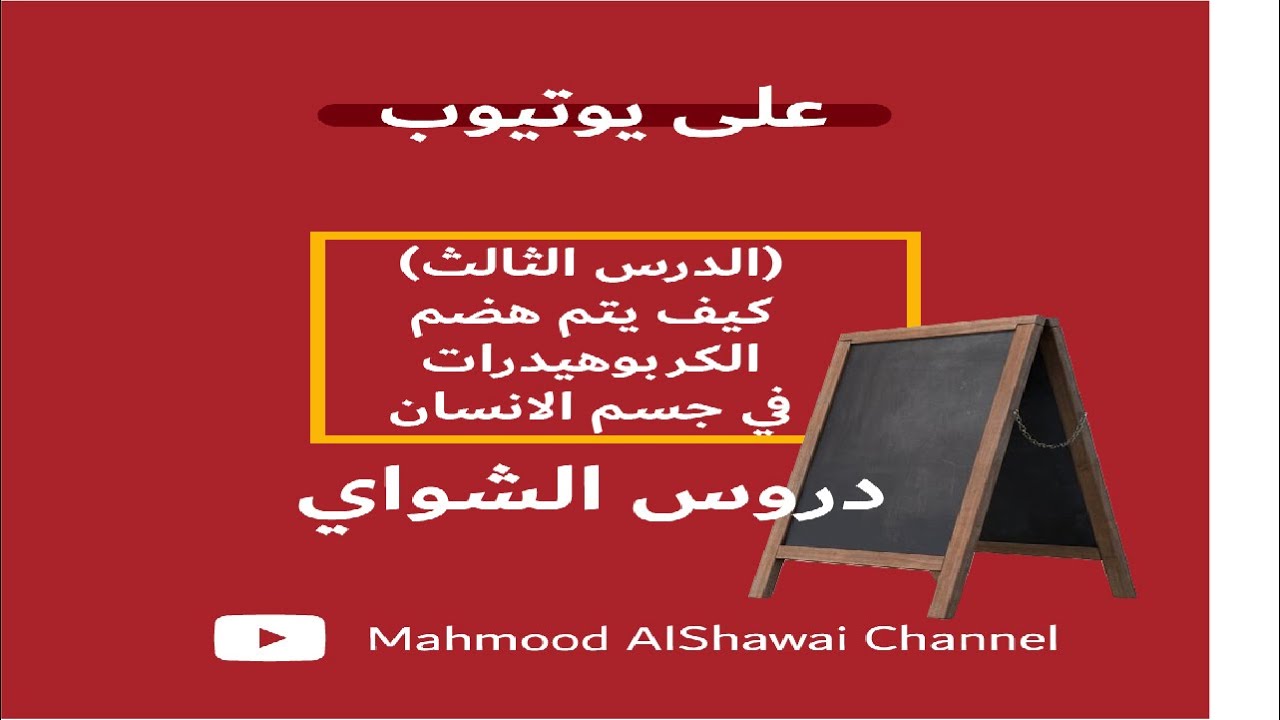 (الدرس الثالث (كيف يتم هضم الكربوهيدرات في جسم الانسان