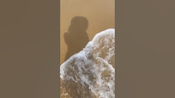 Hôm nay tôi sẽ flex thứ tuyệt vời nhất mà tôi có #flex  #shorts  #flexing