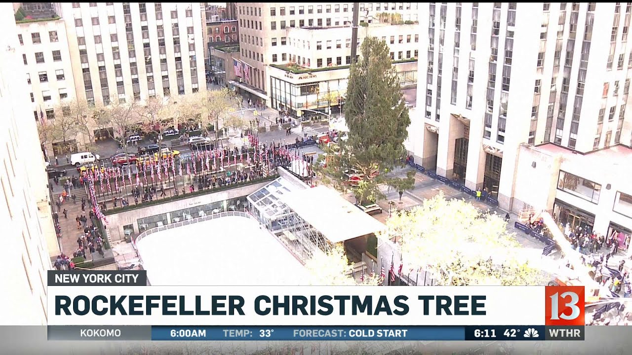 Rockefeller Christmas tree goes up in New York City YouTube