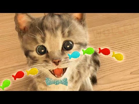 play-fun-pet-care-my-cute-little-pet---fun-cartoon-cute-kitten-for-children-&-toddlers