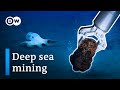 Will deep-sea mining save us from climate change?