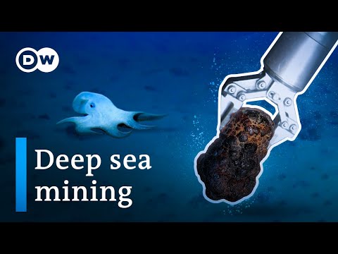 Wideo: Czy tworzy się nowe dno morskie?