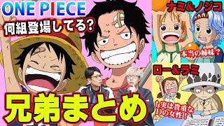 ワンピースに登場する 37組の兄妹 姉妹 義兄弟をまとめてみた 最新版 Youtube ワンピースに登場する 37組の兄妹 姉妹 義兄弟をまとめてみた 最新版 Youtube