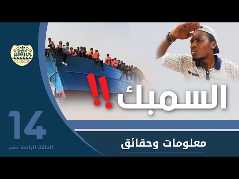 برنامج معلومات وحقائق الحلقة الرابعة عشر السمبك يوتيوبر سوداني   