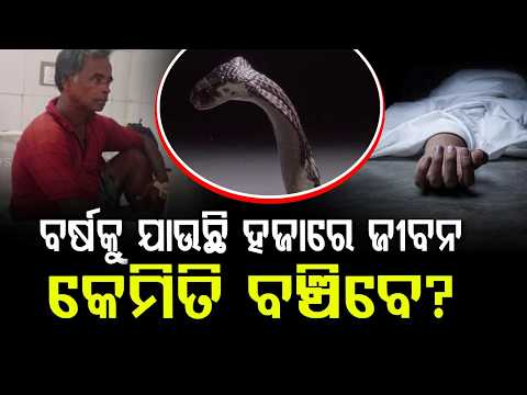 Odisha Flood Alert: Rising Snake Bite Risk in Flooded Districts | Health Dept Issues Advisory