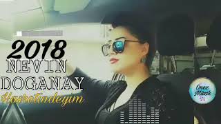 Nevin Doğanay - Hasretindeyim 2018 Resimi