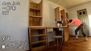 余命3週間から奇跡を起こした愛猫へのDIY。推しはアキラ先輩。DIY for a beloved cat who had a miraculous life expectancy of 3 weeks