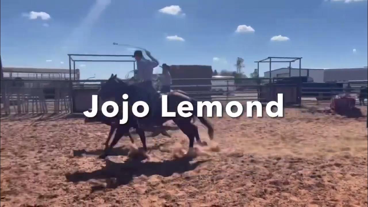Penelope Lot 3 Clovis Horse Sale November 19, 2022 YouTube