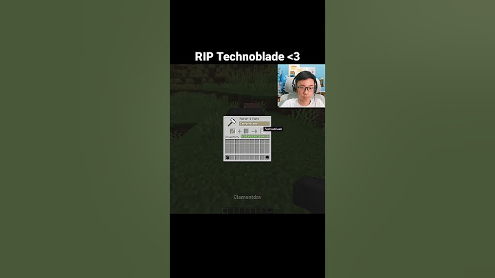 Minecraft Technoblade Moment