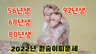 56년생 68년생 80년생 92년생 원숭이띠운세