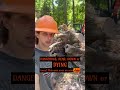 Stump Row on a One and a Half Acre Cleared in Florida