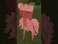 Bone worm in minecraft #minecraft