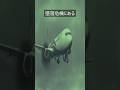 飛行機墜落事故で生き残る唯一の方法(旅行行く人必見)