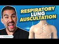 Respiratory Lung Auscultation Health Assessment For Nursing Students