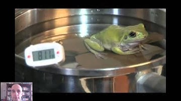 SCD Chapter 7 Lecture 3 The Boiled Frog Parable