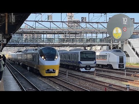 【E657系 フレッシュひたち リバイバルカラー】JR東日本E657系K2編成(黄・ひたち海浜公園と水仙)  出場回送