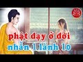 Phật dạy sống ở đời nhẫn 1 lành 10 ,Nghe Để Tiêu Tan Mọi Phiền Muộn Trong Cuộc Sống. #Mới