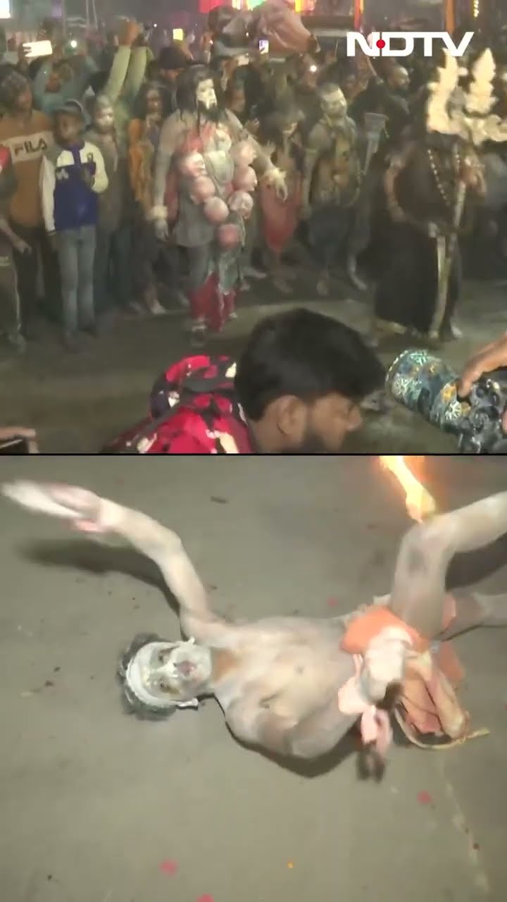 Maha Kumbh 2024: Aghoris Celebrate 'Masaan Holi' Amidst Procession Of Saints