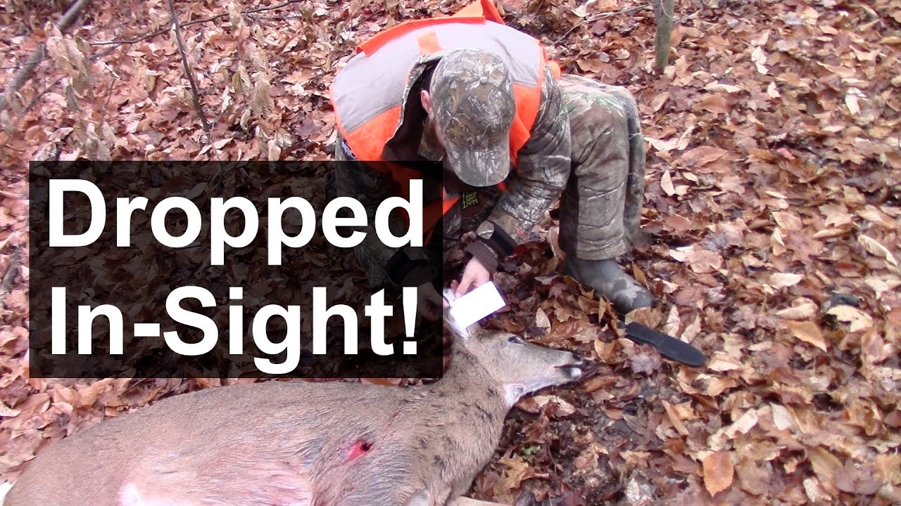 Shotgun Deer Hunting Perfect Shot! YouTube