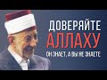 Аллах не принимает дуа. Часть 2 | Как положиться на Аллаха | Шейх Рамадан аль-Буты