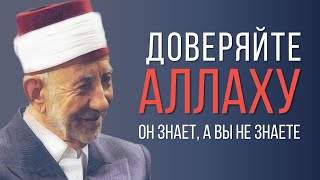 Аллах не принимает дуа. Часть 2 | Как положиться на Аллаха | Шейх Рамадан аль-Буты