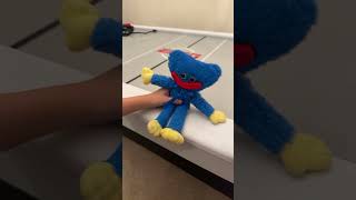 Cyanis He A Girl??Rainbow Friends Chapter 2 Roblox