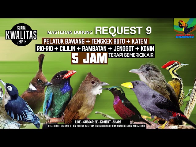 REQUEST MASTERING #9.... DURASI 5 JAM..AMBYAAAR 8 in1 Suara Jernih..JOSS GANDOSS class=