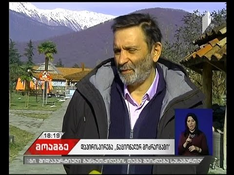 ორად გაყოფილი „ნაციონალური მოძრაობის\" სამომავლო გეგმები