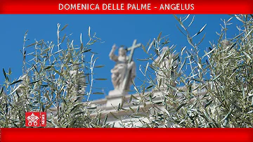 Che significato ha il giorno delle Palme?