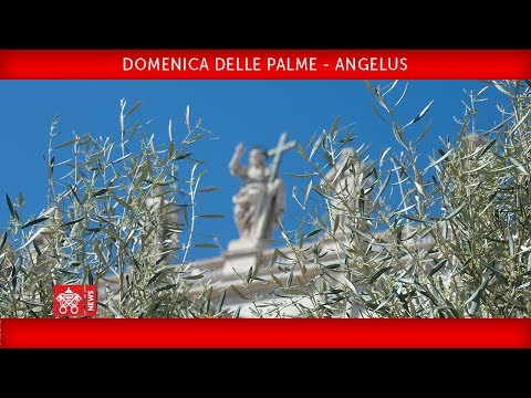 Papa Francesco - Celebrazione della Domenica delle Palme – Recita dell’Angelus 2019-04-14
