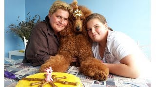 Rudy-ev 1. rođendan. Mala proslava sa specijalnom tortom za pse. Vlog.