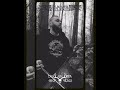 Talharpa Vegvisir.For sale