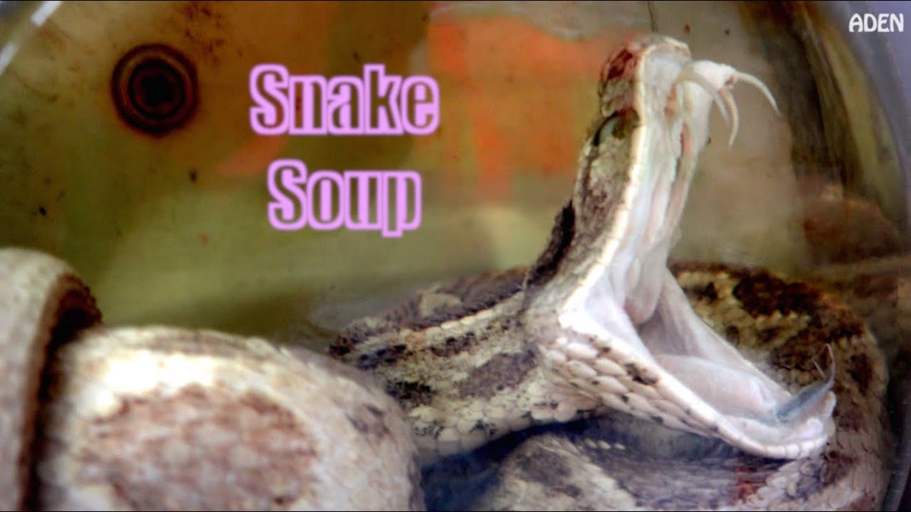 Snake Soup - Food in Hong Kong | Aden Films