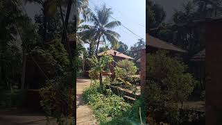 bandivade🇮🇳🚩 my second home🏠🤗❤ gavche gram daivat savardev parisar