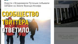 "Пингвины крякали и просили домик?" "Пингвины крякали и просили домик?"
