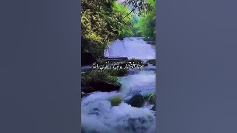 واتس اب قرأن كريم ..القارئ ماهر المعقيلى ..سورة التحريم🌱🥀🌱