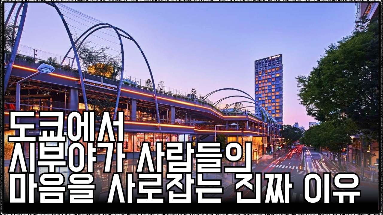 도쿄에서 시부야가 언제나 매력적인 진짜 이유