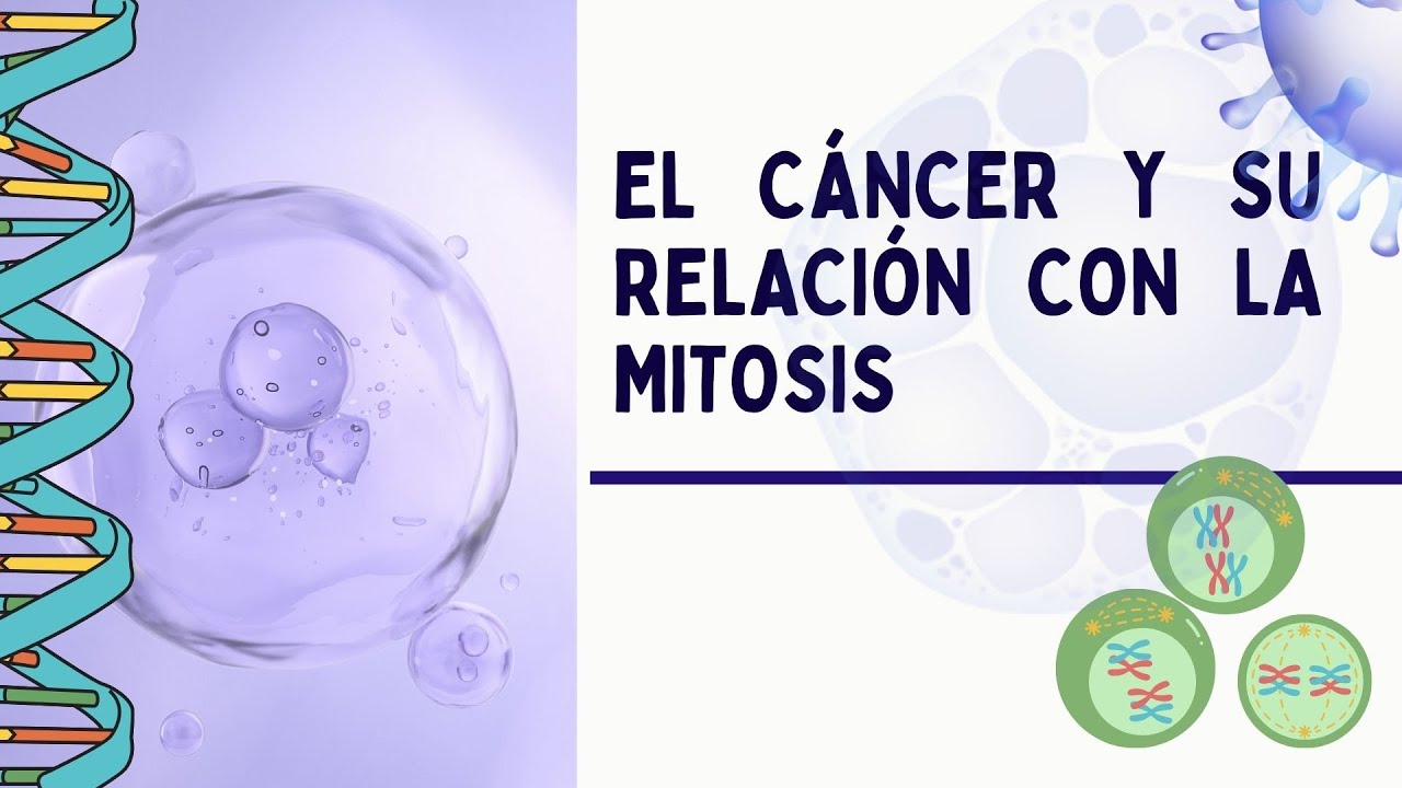 El cáncer y su relación con la mitosis - YouTube