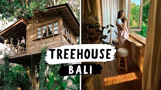 Inside a $27 Paradise Treehouse in Bali (full tour)