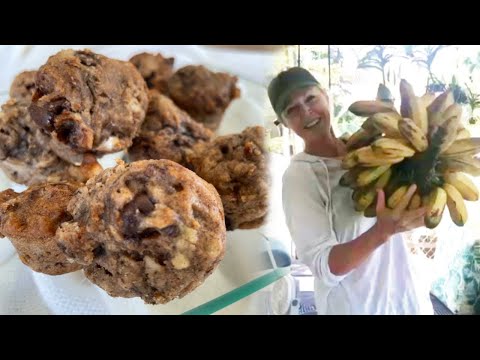 BANANA CHOCOLATE CHIP MUFFINS; Healthy, Easy