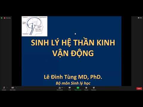 Sinh lý thần kinh vận động, giải đáp thắc mắc ôn thi sinh lý cao học, ck1 Y hà nội