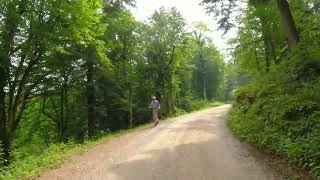 Driving in Forest - Rak Skocjan Park in Slovenia