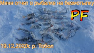 Мини отчет с рыбалки 19.12.2020г. р. Тобол