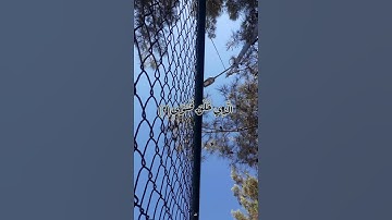 سورة الأعلى (١-٧) حسام الدين عبادي