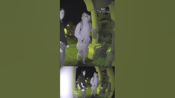Video shows hammer and gun-wielding suspects breaking into Vaughan home