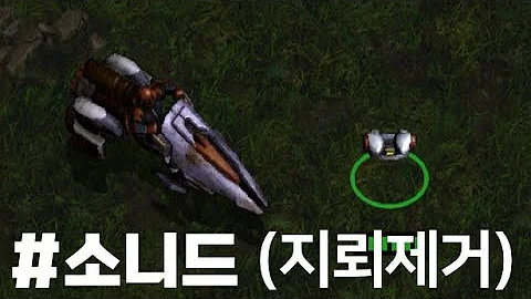 🍯 7월10일 관심종목 (#에스와이 #소니드)