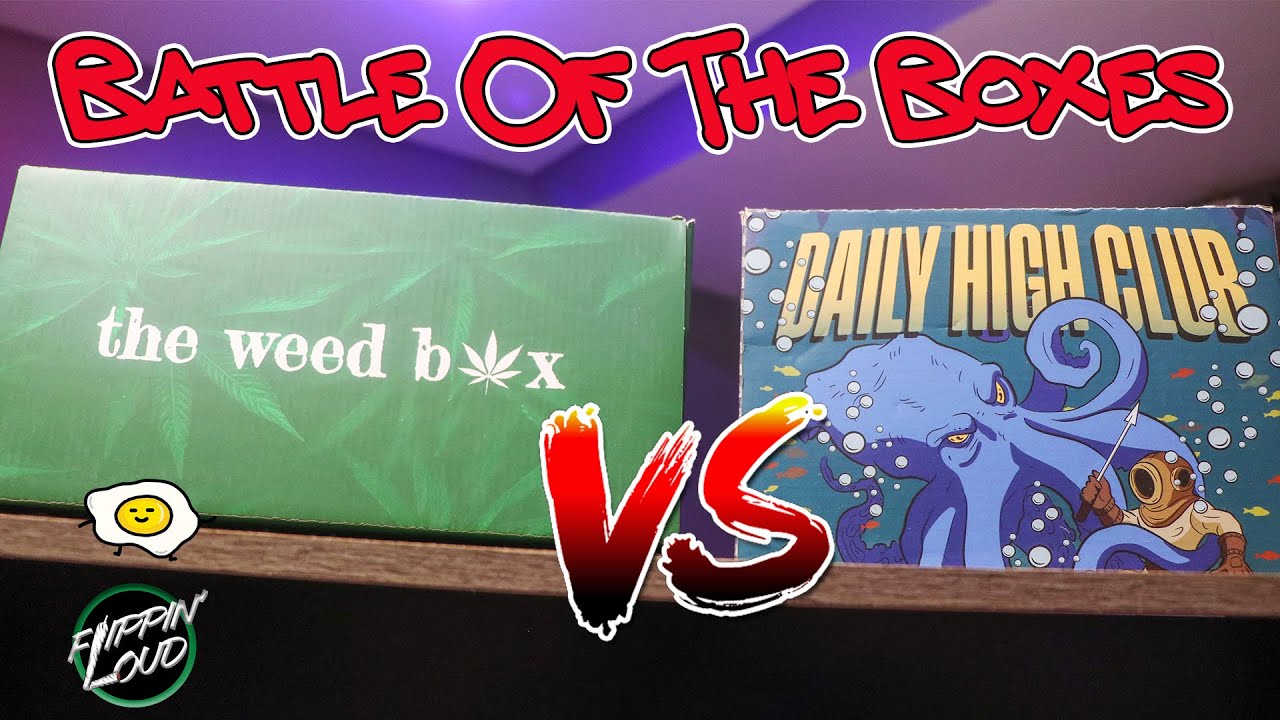 TWB vs DHC: FIRST EVER BATTLE OF THE BOXES!!