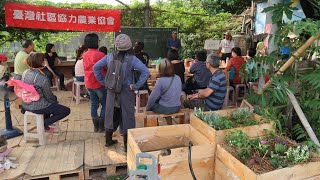 仿生菜畦(毛細植床)製作示範暨新竹幻象農場源流