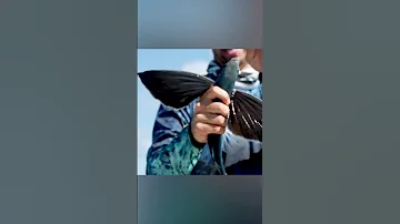 Летучие рыбы