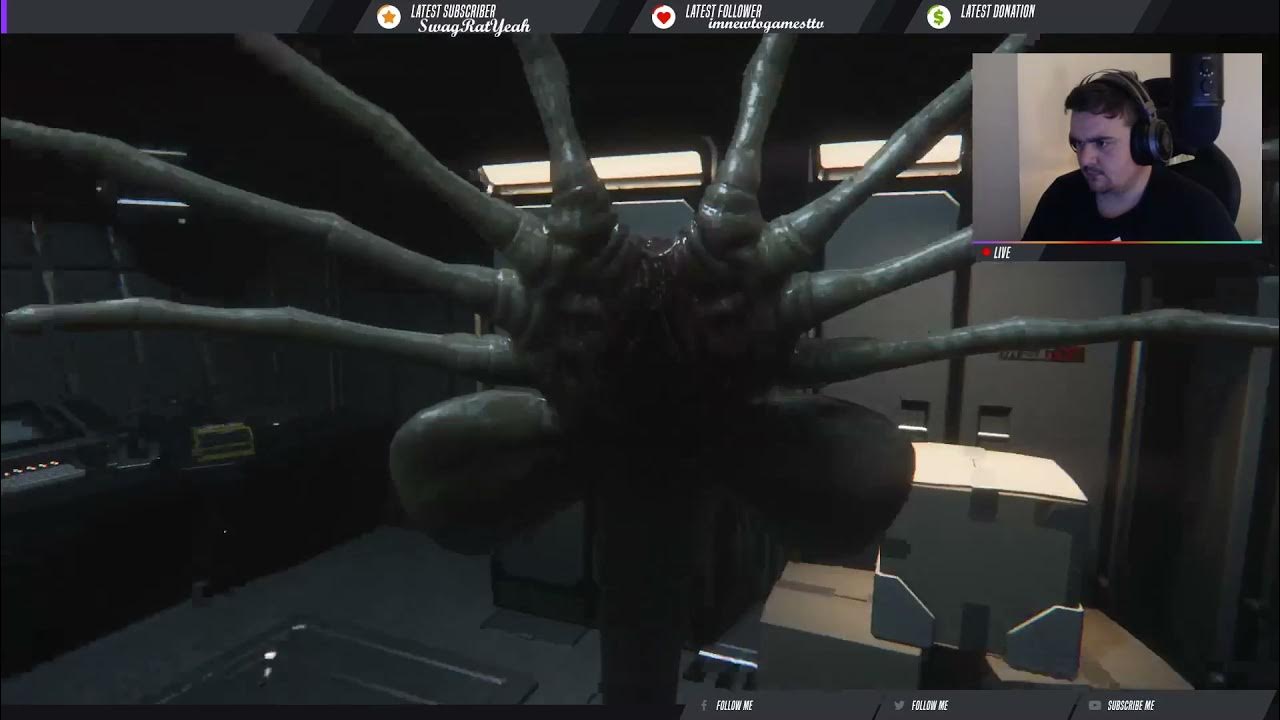 First FACEHUGGER Death YouTube
